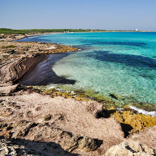 Ferragosto in Salento